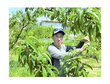 生産者　桃部会長の奥谷さん