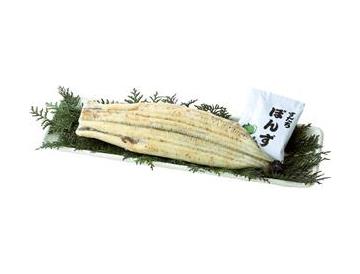 皿：長さ約33cm