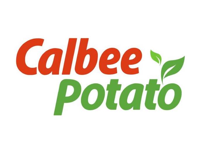 カルビー　ウェーブカットポテト