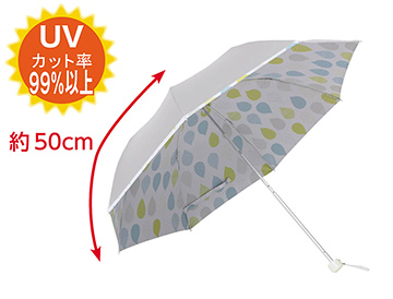 約５０ｃｍ　レインドロップ