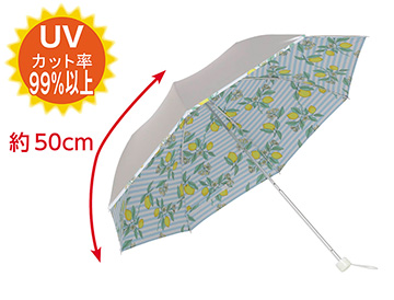 約５０ｃｍ　　レモン　ブルー