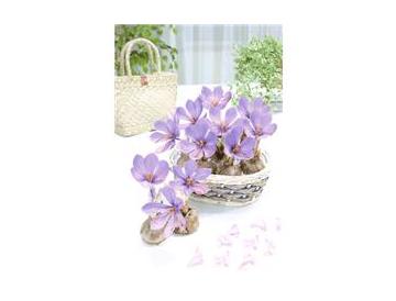 ※画像はイメージです。
