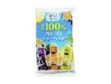 ｅ果汁１００％フローズンシャーベット