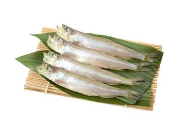 盛皿：幅約16ｃｍ
