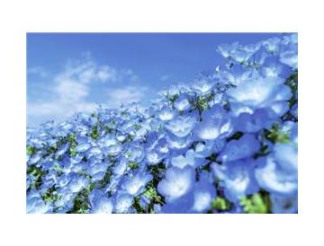 ※画像はイメージです。