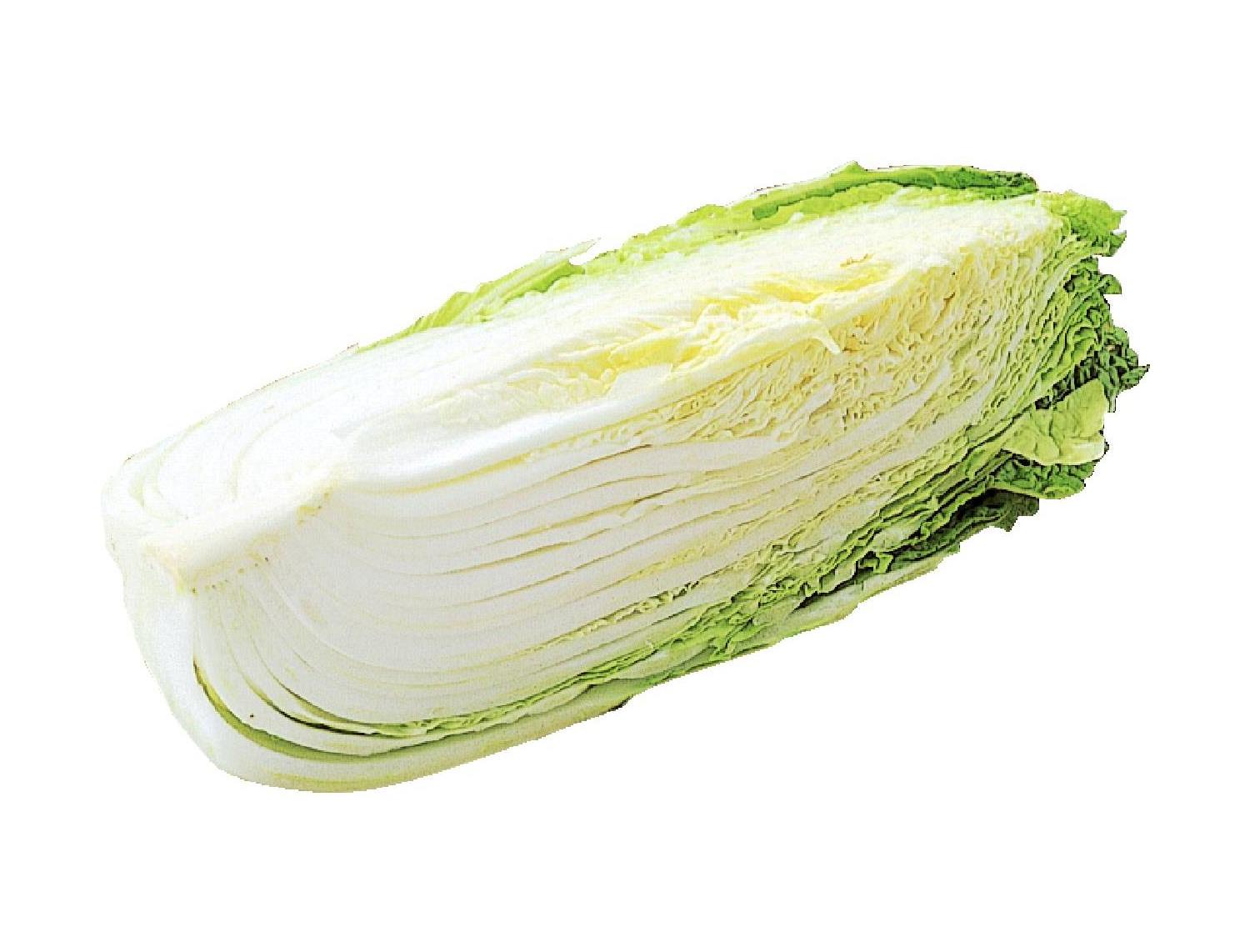 白菜