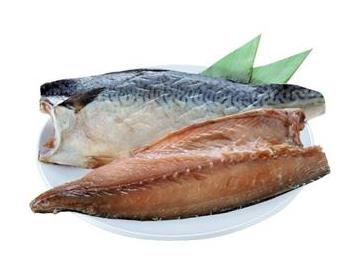 皿：直径約20cm