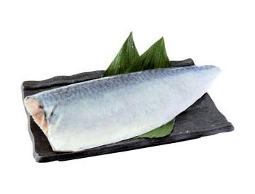 皿：約20×11cm