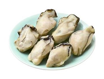 皿：直径約19ｃｍ
