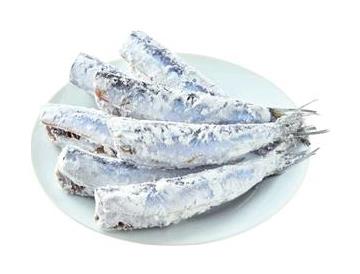 皿：直径約16cm