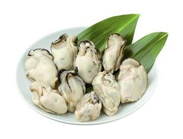 皿：直径約15ｃｍ