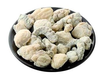 皿：直径約１５ｃｍ