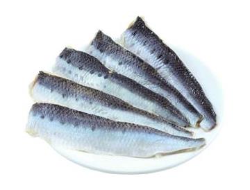 皿：直径約15cm