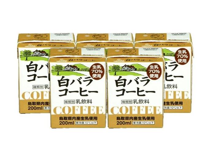 白バラコーヒー