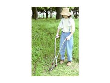 ※画像はイメージです。
