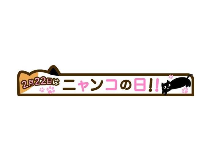 口ゴムゆったりねこだらけソックス