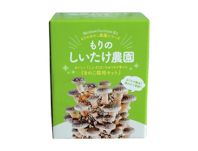 しいたけ農園