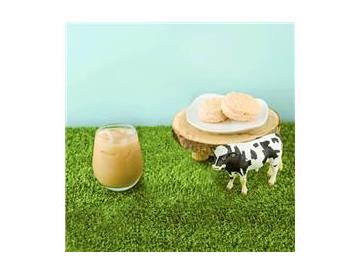 ミルク好きの北海道産生クリーム入りカフェラテ