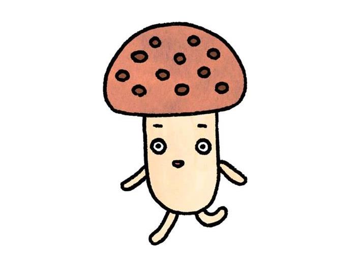 生協のきのこ5品セット