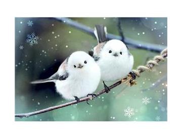 ※画像はイメージです。