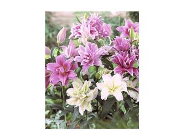 ※画像はイメージです。