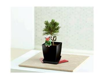 ※獅子ピックは手作りのため、チラシと異なる場合があります。※画像はイメージです。