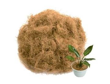 鉢、植木は付いていません。