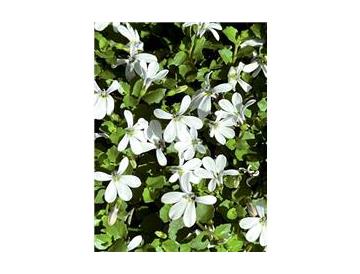 ※画像はイメージです。