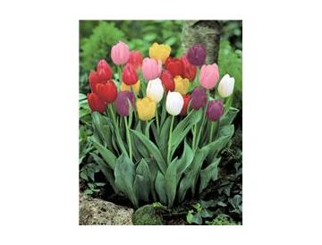 ※画像はイメージです。