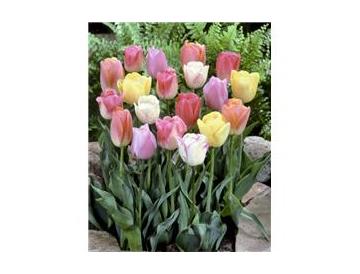 ※画像はイメージです。