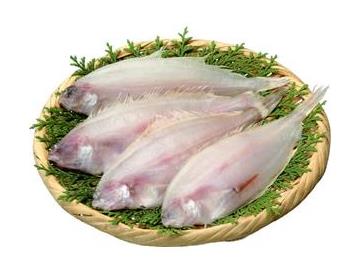 ざる：直径約21cm