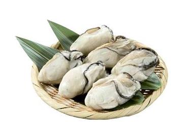 ざる：直径約１５ｃｍ