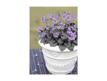 ※画像はイメージです。