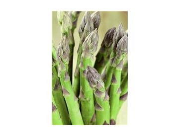 ※画像はイメージです。