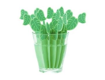 モンステラ　　※コップは付いていません。