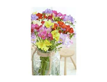 ※画像はイメージです。