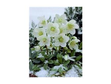 ※画像はイメージです。