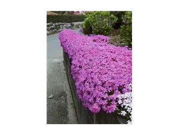 ※画像はイメージです。