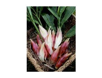 ※画像はイメージです。