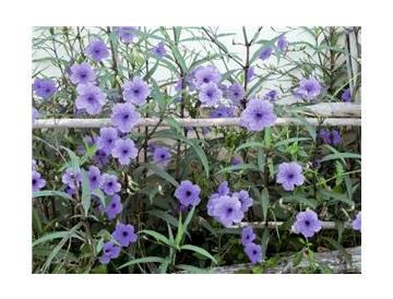 ※画像はイメージです。