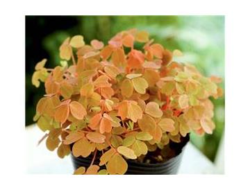 ※画像はイメージです。