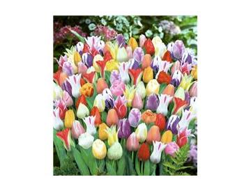 ※画像はイメージです。