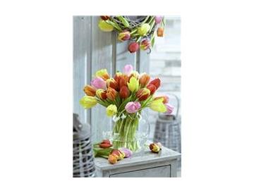 ※画像はイメージです。