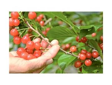 ※画像はイメージです。