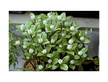 ※画像はイメージです。