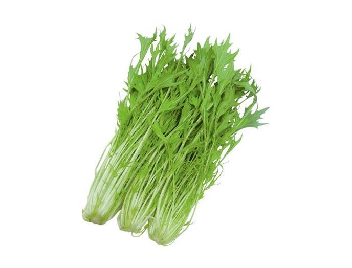 【産直】みず菜