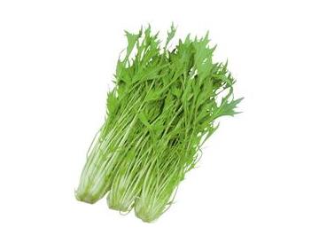 【産直】みず菜