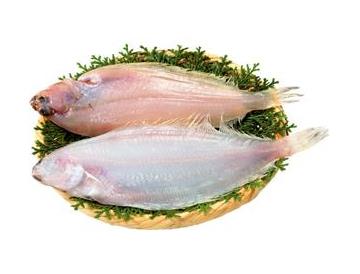 ざる：直径約１８ｃｍ