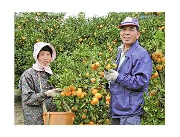 生産者の戎さんご夫妻