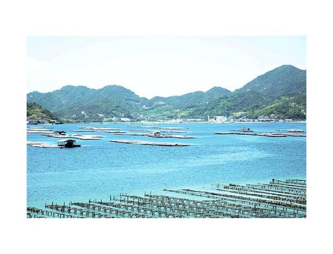 冷凍かき（大粒）